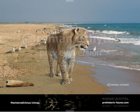 Отпечатки лап крупной кошки из позднего миоцена Краснодарского края