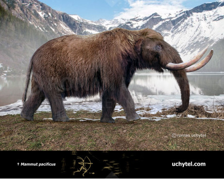 Мастодонт Тихоокеанського узберіжжя