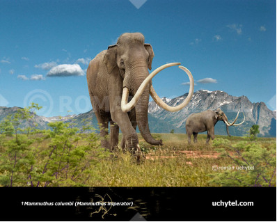 Columbian Mammoth