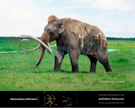 Jeffersonian Mammoth
