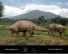 Giant asian pangolin