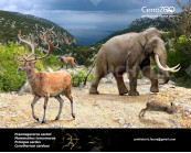 The Pleistocene of Mediterranean (Sardinia and Corsica)