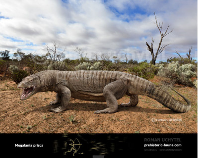 Megalania prisca