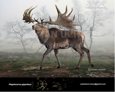 Megaloceros giganteus