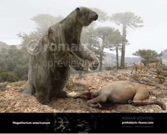 Megatherium Megatherium