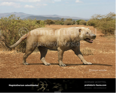 Megistotherium