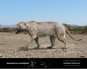 Hyaenodon gigas image buy Uchytel