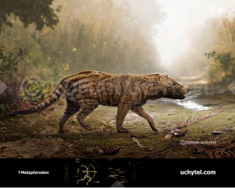 Metapterodon