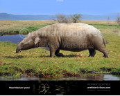 Moeritherium