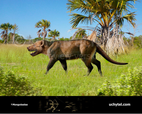 Mongolestes hadrodens