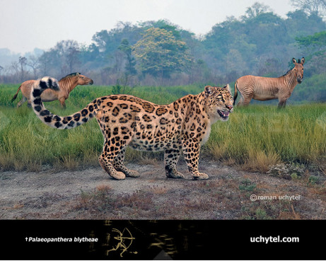 Palaeopanthera blytheae