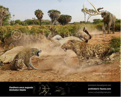 Pleistocene North American jaguar (Panthera onca augusta)