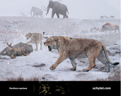 Cave Lion Ice Age