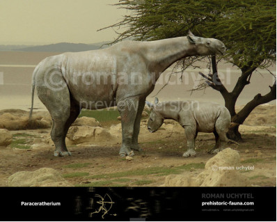 Indricotherium