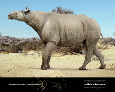 Indricotherium