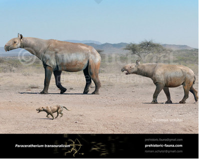 Indricotherium