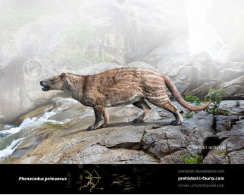 Phenacodus primaevus