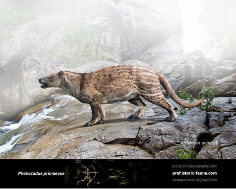 Phenacodus primaevus