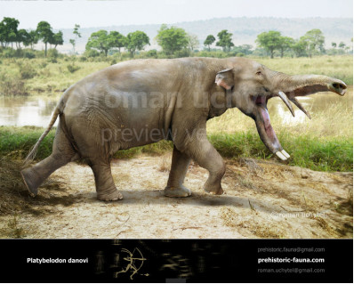 Platybelodon