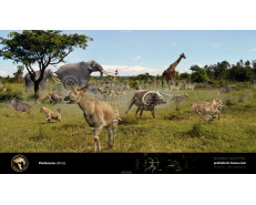 Pleistocene (Africa)