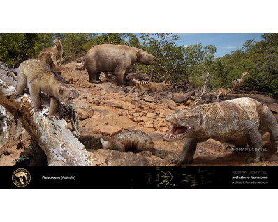 Pleistocene (Australia)