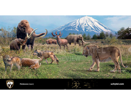 Pleistocene ( Japanese archipelago)