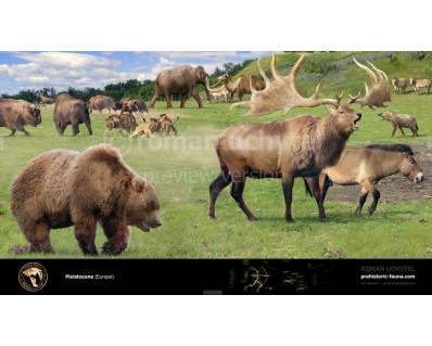 Pleistocene (Eurasia)