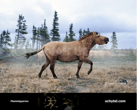 Плезіогіппаріон