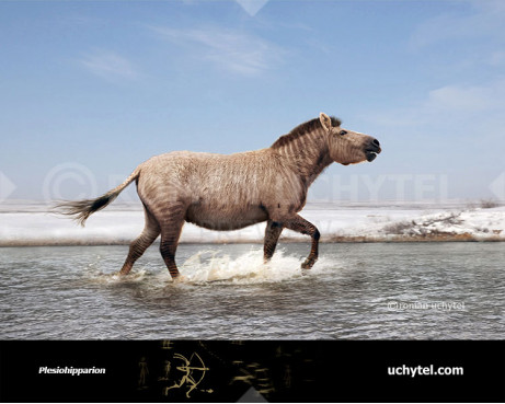 Plesiohipparion