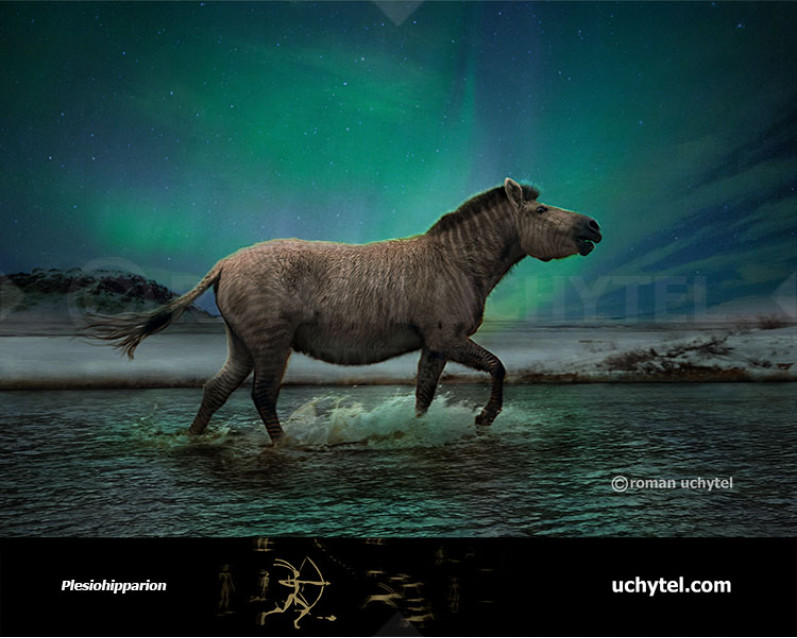 Plesiohipparion Plesiohipparion
