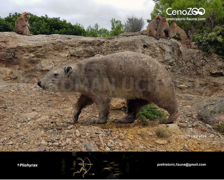 Пліогіракс