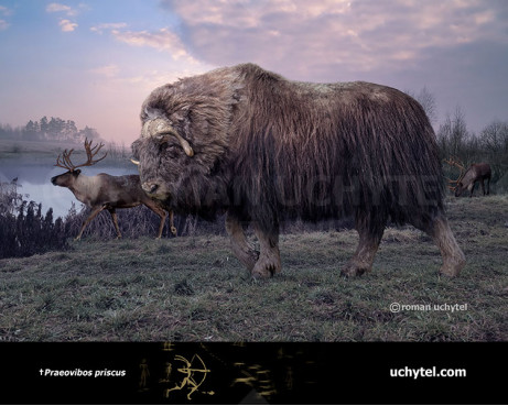 Гігантський вівцебик