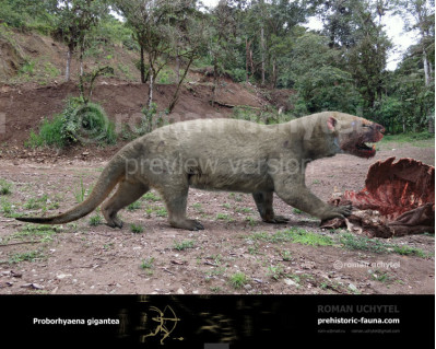 Proborhyaena gigantea