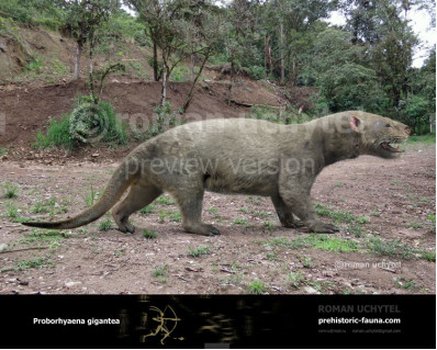 Proborhyaena gigantea