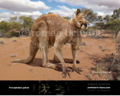 Short-Faced Kangaroo (Procoptodon goliah)