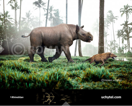 Rhinotitan