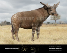 Sivatherium