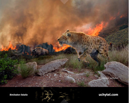 Smilodon Fatalis Paleoart