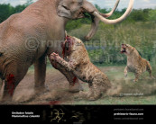 Columbian Mammoth and Smilodon‭ (La Brea Tar Pits)