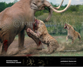 Columbian Mammoth and Smilodon (La Brea Tar Pits) Columbian Mammoth and Smilodon (La Brea Tar Pits)