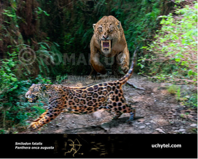 Pleistocene North American jaguar (Panthera onca augusta)