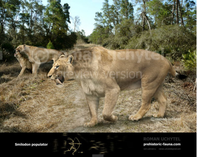 Smilodon populator (2008)