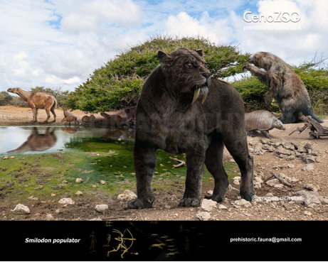 Smilodon (South America)