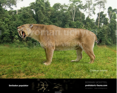 Smilodon populator