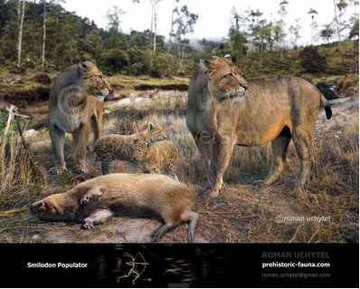 Smilodon populator