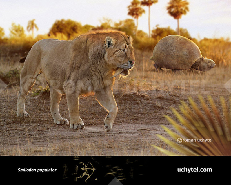 Smilodon populator Smilodon populator