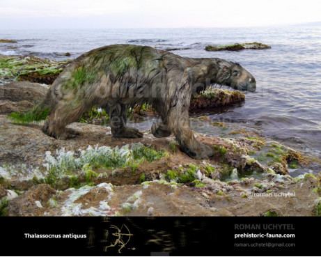 Aquatic marine sloth (Thalassocnus)