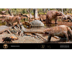 Pleistocene (Australia)