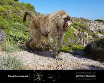Theropithecus oswaldi (giant gelada)