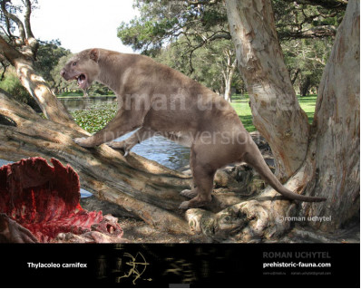 Marsupial lion (Thylacoleo carnifex)